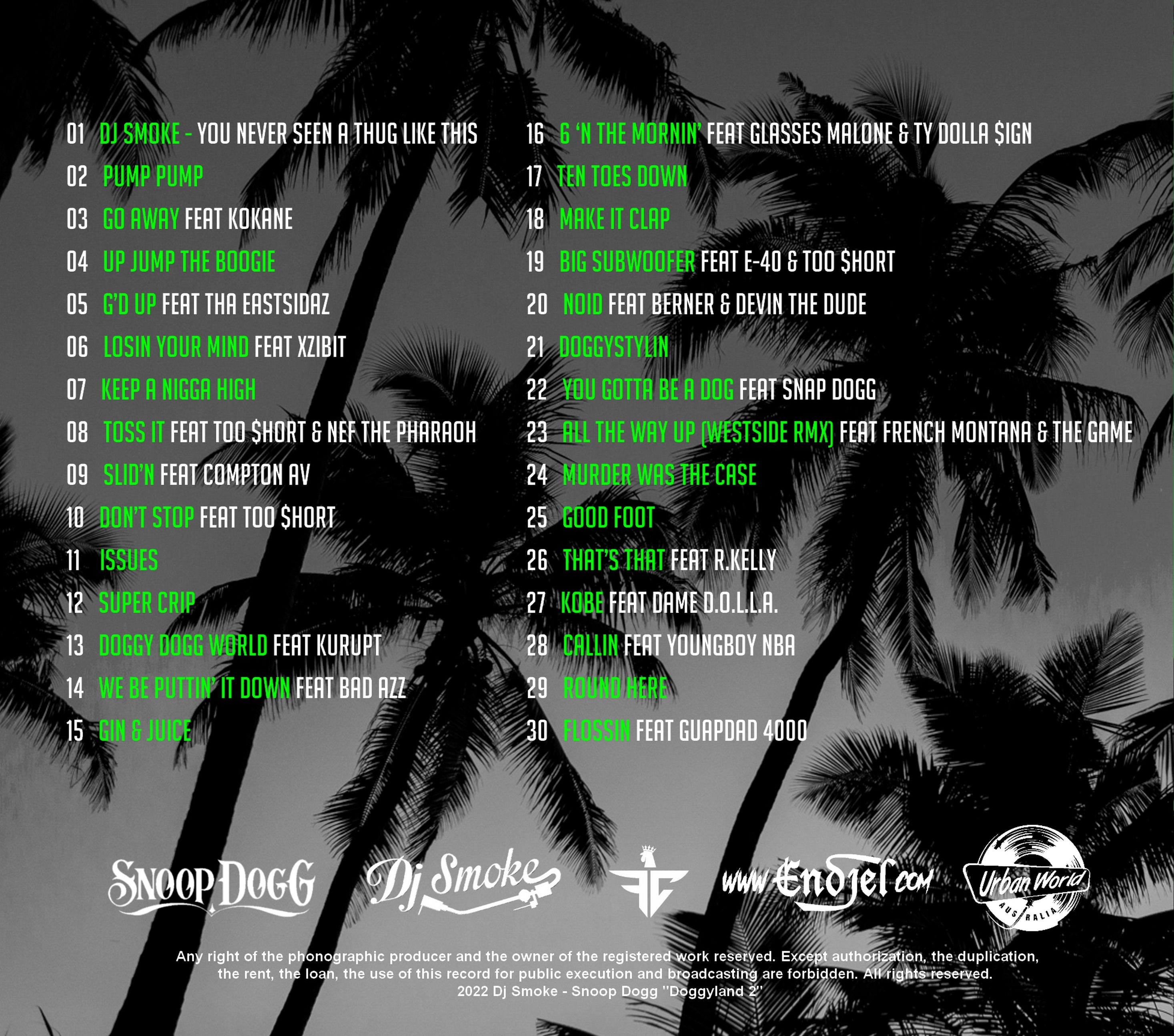 【G-RAP】THE BIG DOG CD The Big Dog (C&C Records) in Detroit | Rap - The Good Ol'Dayz